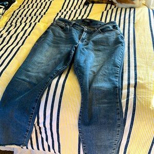Judy blue jeans size 16w